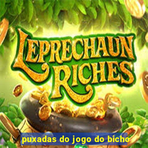 puxadas do jogo do bicho